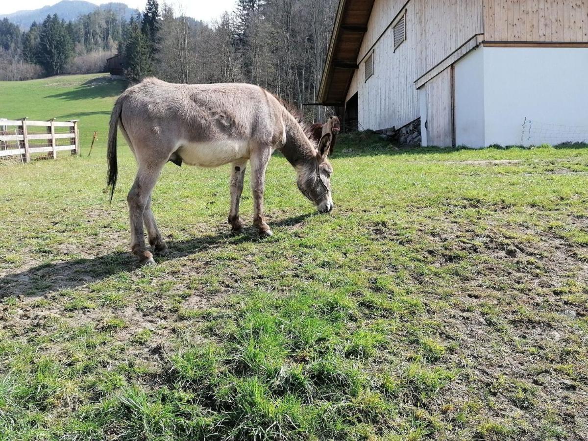 Holiday On An Organic Farm In Hart Im Zillertal Exteriér fotografie