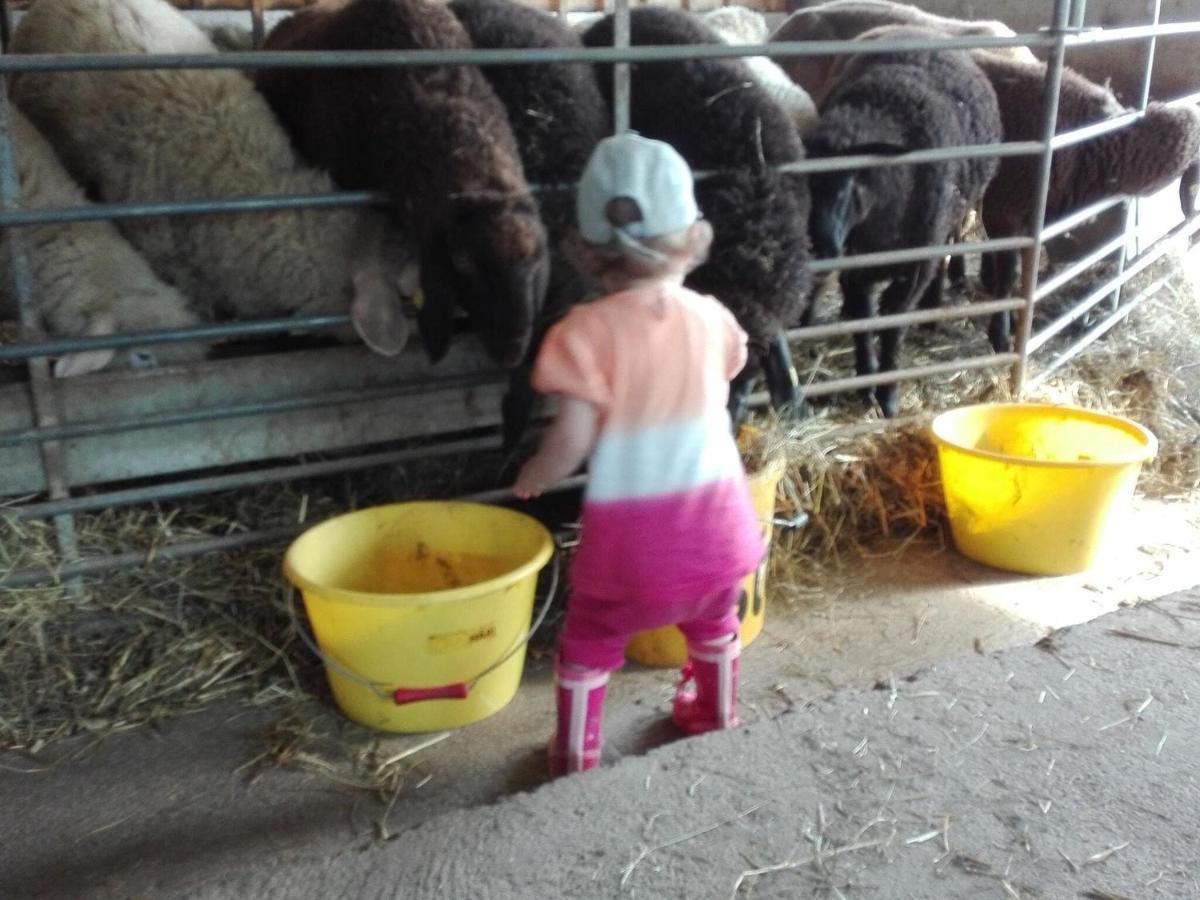 Holiday On An Organic Farm In Hart Im Zillertal Exteriér fotografie