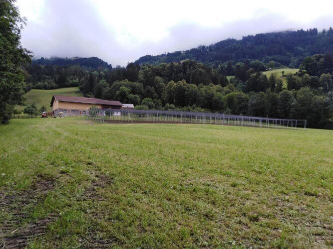 Holiday On An Organic Farm In Hart Im Zillertal Exteriér fotografie
